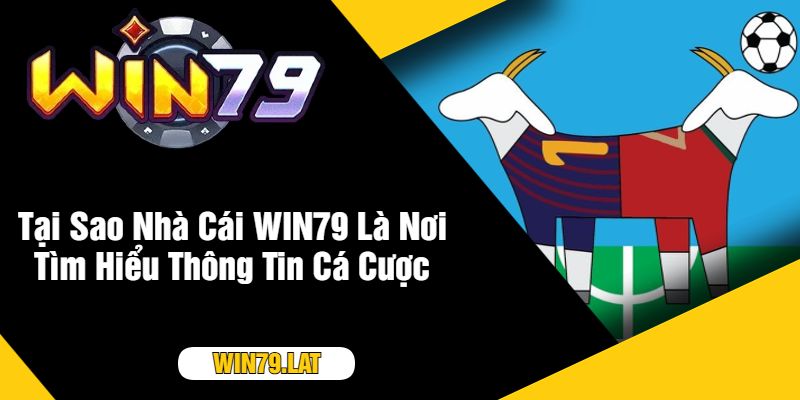 Tại Sao Nhà Cái WIN79 Là Nơi Tìm Hiểu Thông Tin Cá Cược